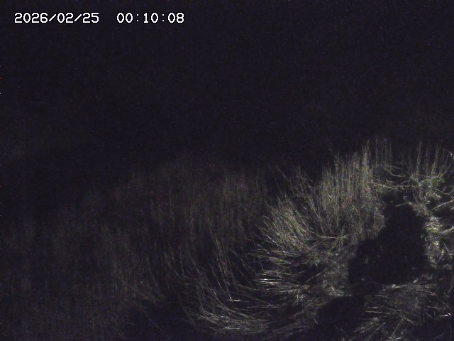 日置川３2026/02/25 02:20