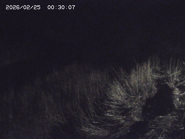 日置川３2026/02/25 02:20