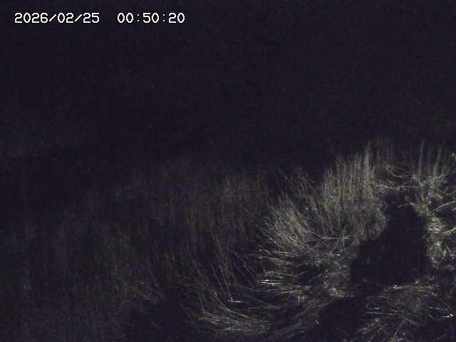 日置川３2026/02/25 02:20