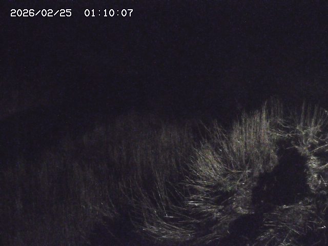 日置川３2026/02/25 02:20