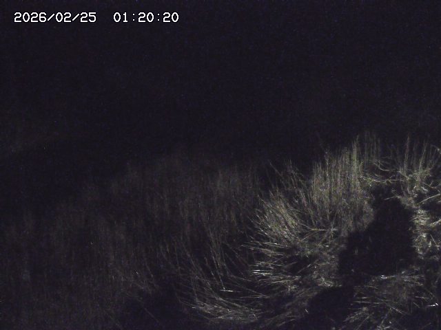 日置川３2026/02/25 02:20