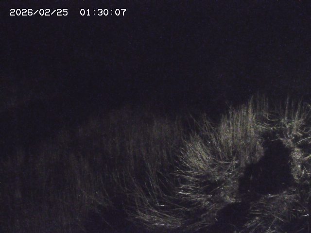 日置川３2026/02/25 02:20