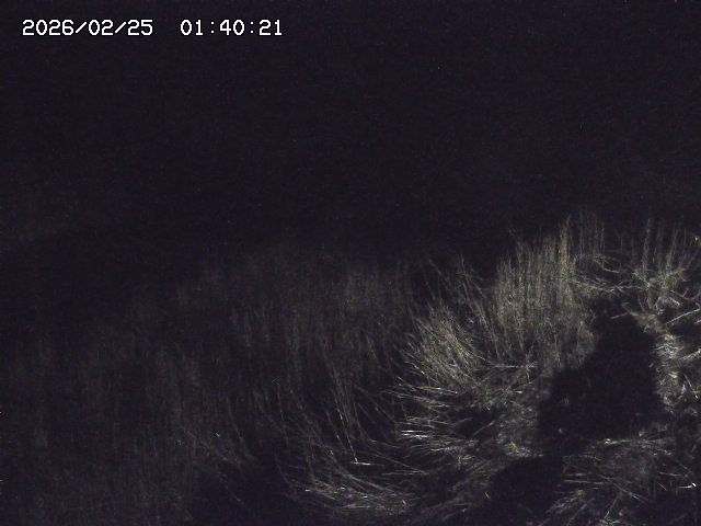 日置川３2026/02/25 02:20