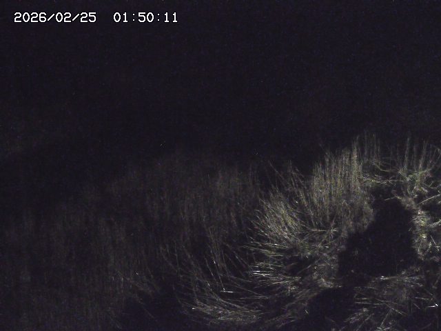 日置川３2026/02/25 02:20