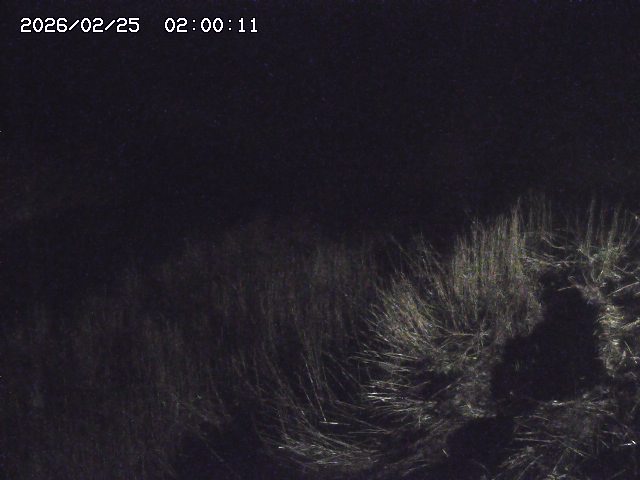 日置川３2026/02/25 02:20