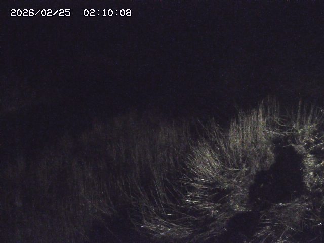 日置川３2026/02/25 02:20