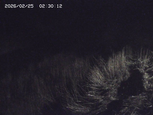 日置川３2026/02/25 02:20