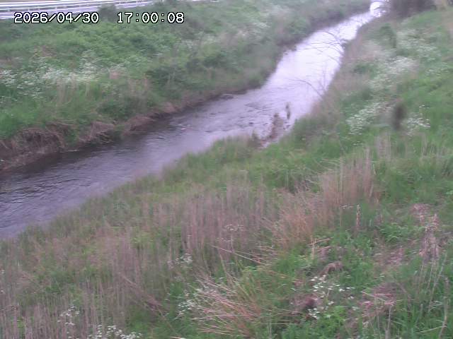 日置川３2026/05/01 16:40