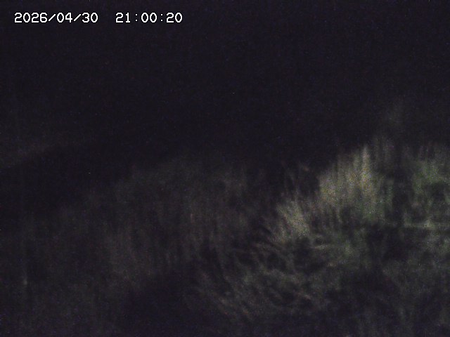 日置川３2026/05/01 16:40