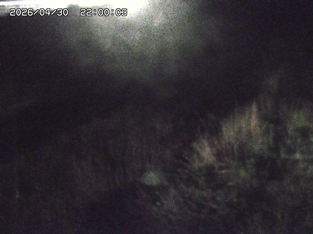 日置川３2026/05/01 16:40