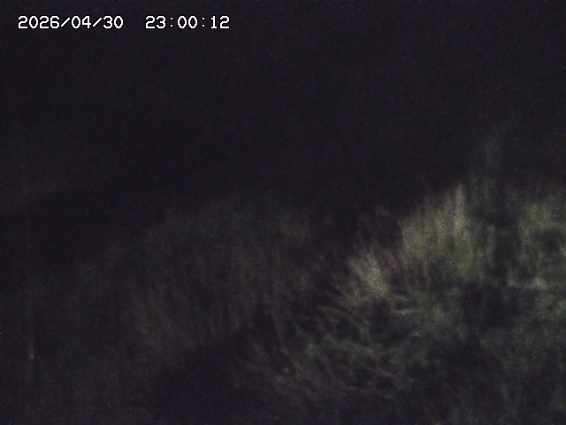 日置川３2026/05/01 16:40