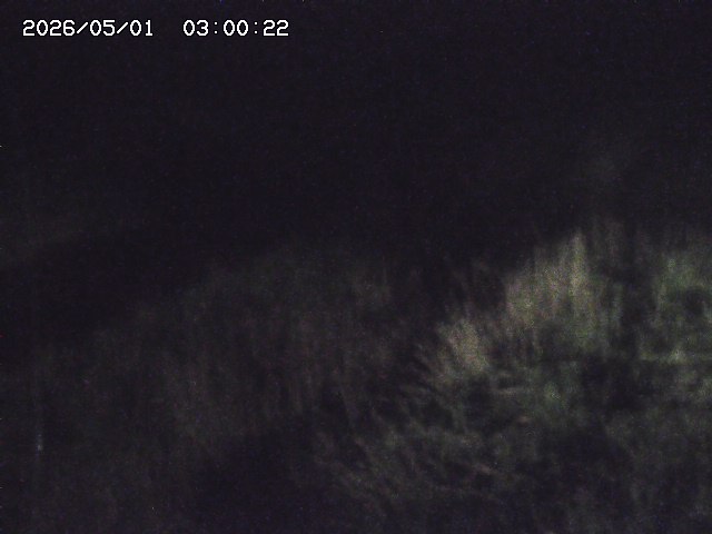 日置川３2026/05/01 16:40