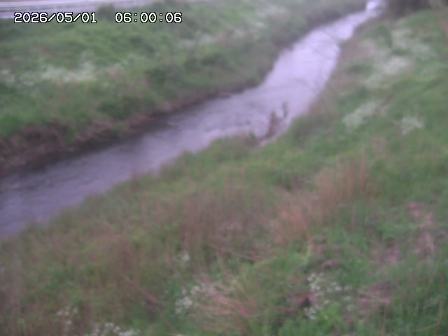 日置川３2026/05/01 16:40