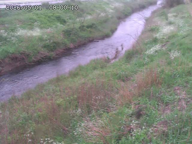 日置川３2026/05/01 16:40