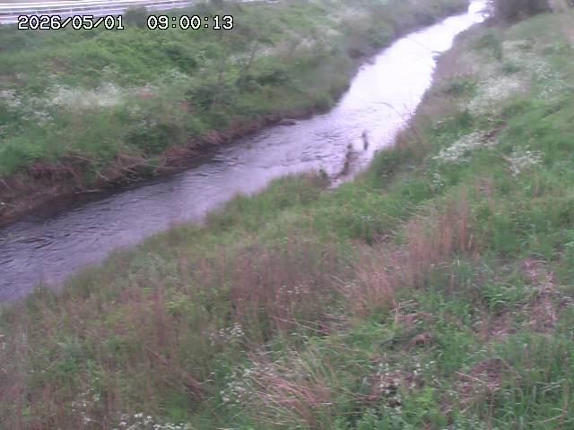日置川３2026/05/01 16:40