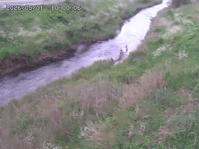 日置川３2026/05/01 16:40