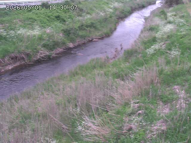 日置川３2026/05/01 16:40