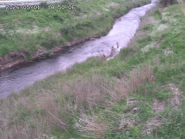 日置川３2026/05/01 16:40
