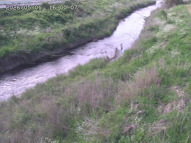 日置川３2026/05/01 16:40