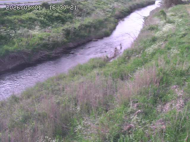 日置川３2026/05/01 16:40