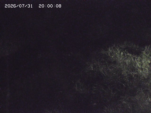 日置川３2026/08/01 20:40