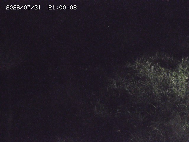 日置川３2026/08/01 20:40