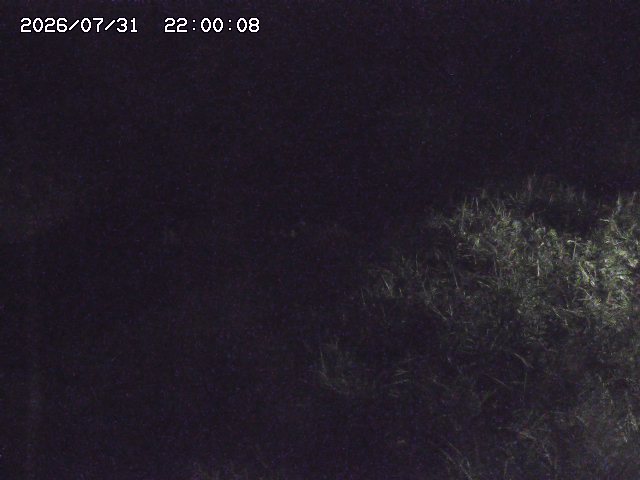 日置川３2026/08/01 20:40