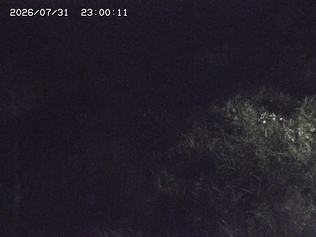 日置川３2026/08/01 20:40