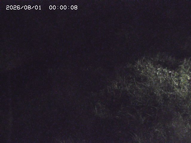 日置川３2026/08/01 20:40