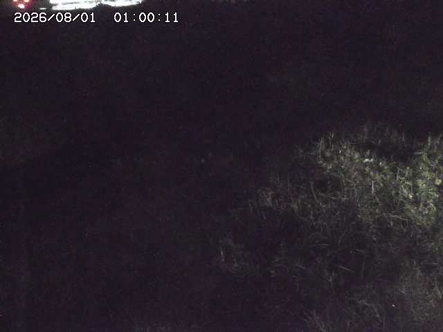 日置川３2026/08/01 20:40