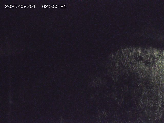 日置川３2026/08/01 20:40
