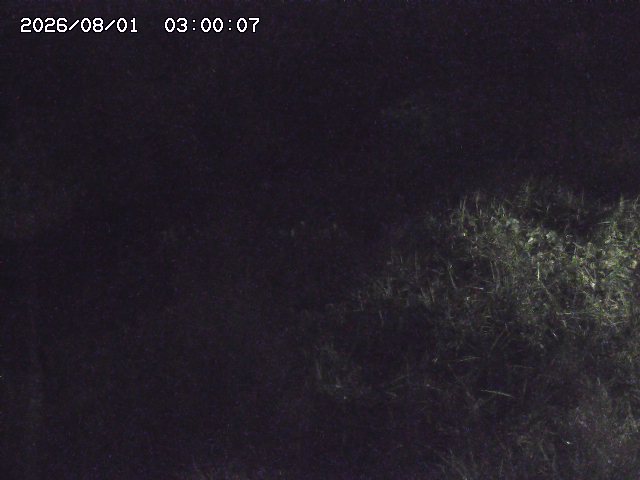 日置川３2026/08/01 20:40
