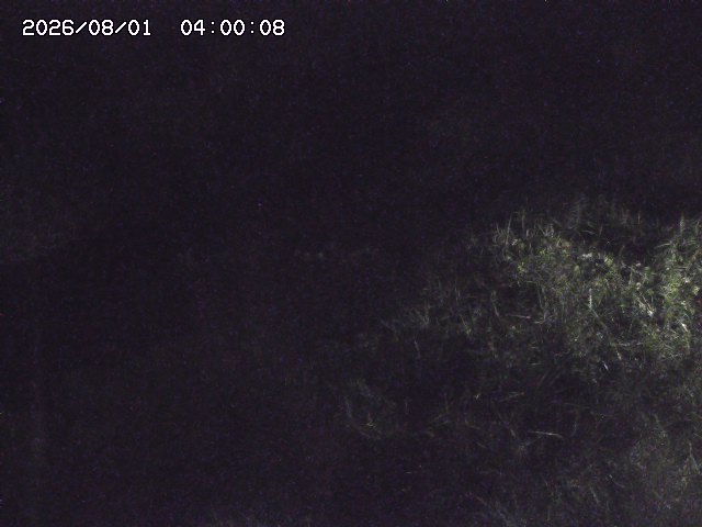 日置川３2026/08/01 20:40