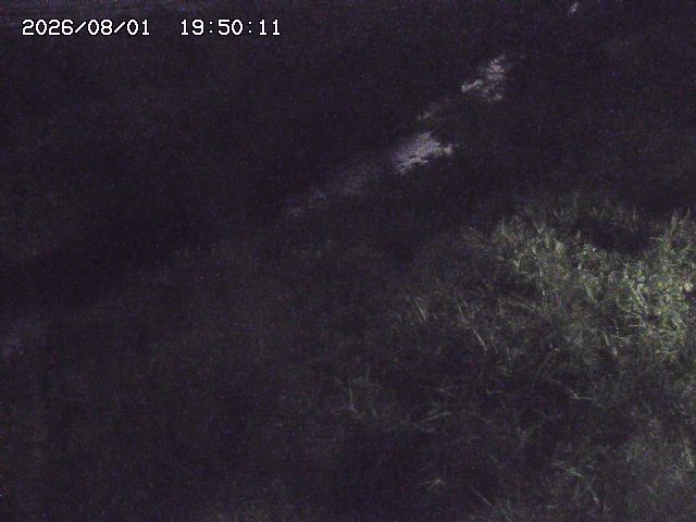 日置川３2026/08/01 20:40