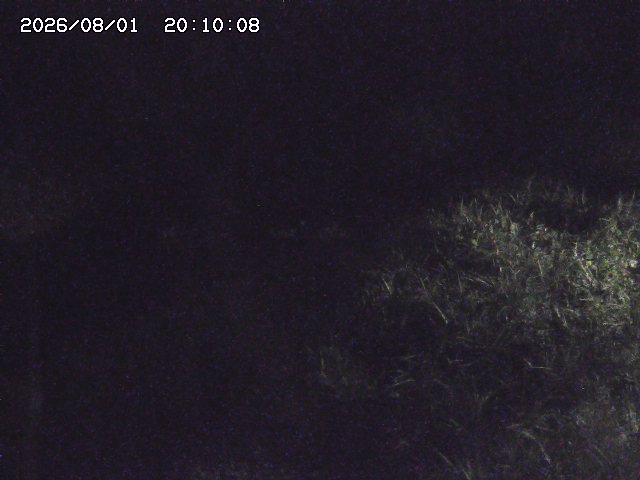 日置川３2026/08/01 20:40