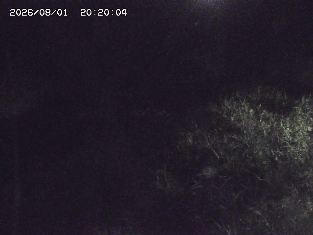 日置川３2026/08/01 20:40