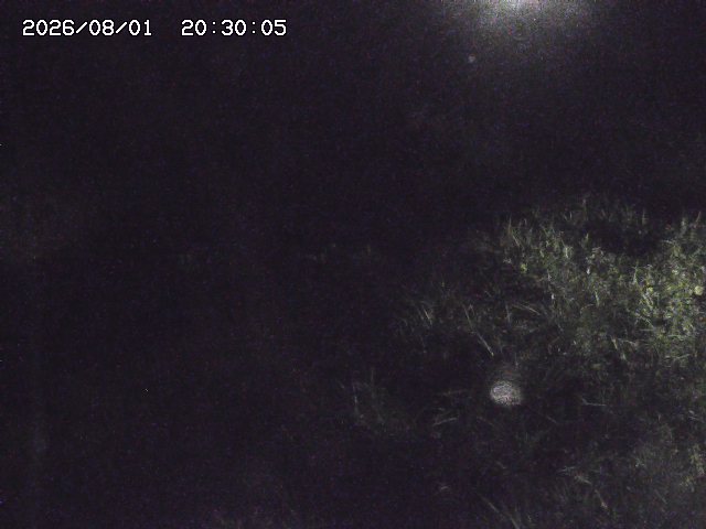 日置川３2026/08/01 20:40