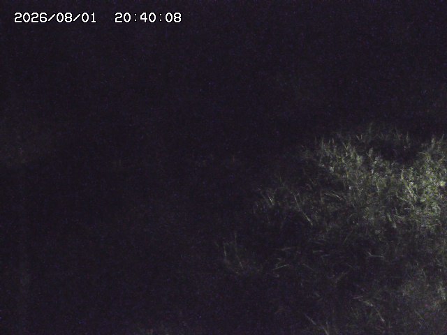 日置川３2026/08/01 20:40