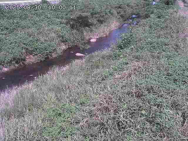 日置川３2025/08/31 09:00