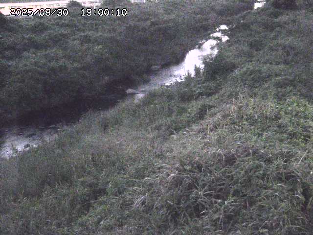 日置川３2025/08/31 09:00