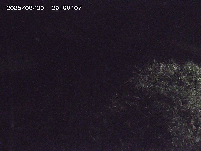 日置川３2025/08/31 09:00