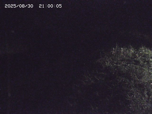 日置川３2025/08/31 09:00