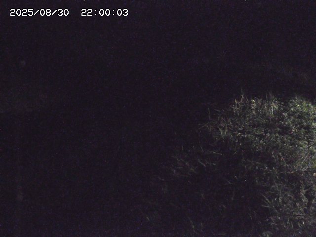 日置川３2025/08/31 09:00