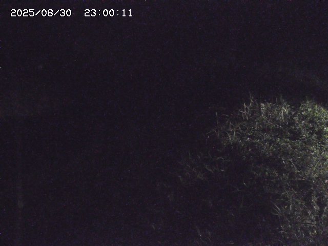 日置川３2025/08/31 09:00