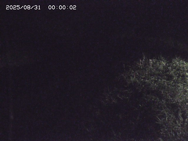 日置川３2025/08/31 09:00