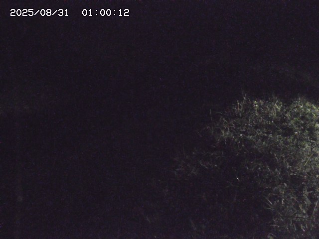 日置川３2025/08/31 09:00