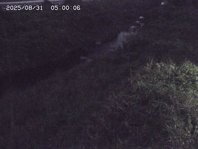 日置川３2025/08/31 09:00