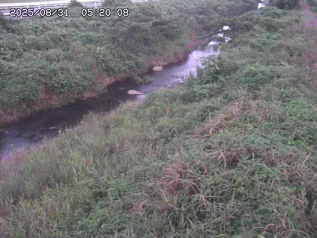 日置川３2025/08/31 09:00