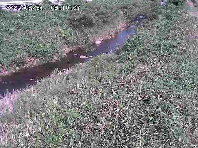 日置川３2025/08/31 09:00