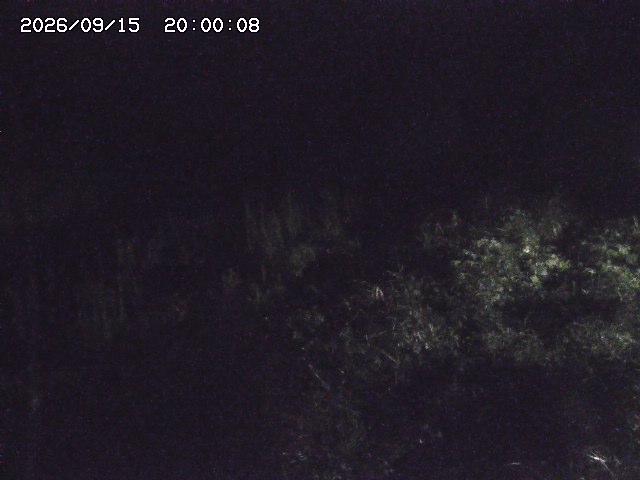 日置川３2026/09/16 16:30